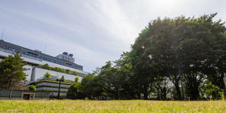 区立平成つつじ公園