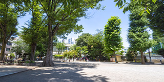 区立中新井公園